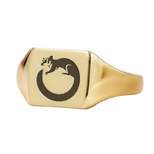 Bague planeur de sucre carrée hypoallergénique, bague en argent 925 pour peaux sensibles