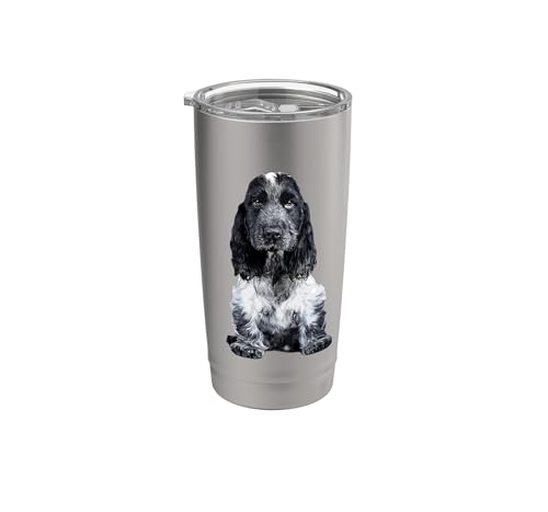 inglese cocker spaniel, cocker spaniel, cocker spaniel, cocker spaniel, cucciolo di cocker spaniel, regalo cocker spaniel, cocker spaniel regali, cocker spaniel Natale, accessori cocker spaniel, allevatore cocker spaniel, cocker spaniel allevatore, cocker spaniel cani, cocker inglese