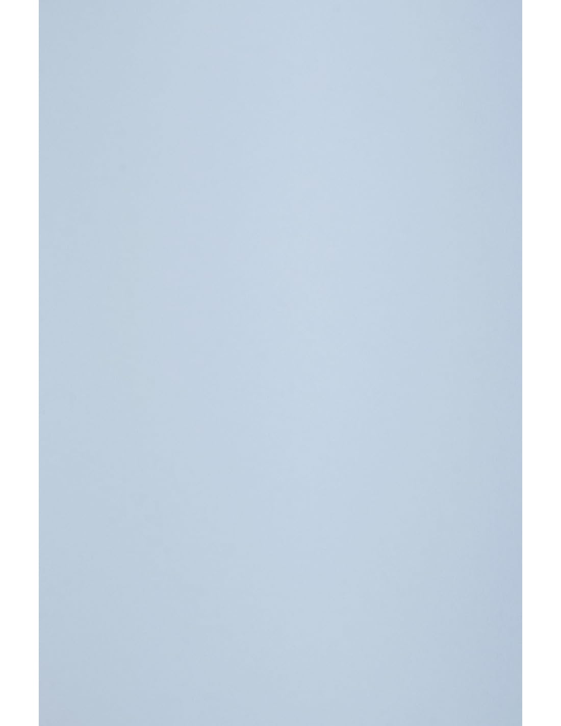 Netuno 250x Light Blue Coloured cardstock 160gsm A4 210 x 297 mm 8.3 x 11.7 in Circolor Hibiscus Recycled Paper Colourful Craft cardstock for DIY Invitations Card Making Scrapbooking Business Cards