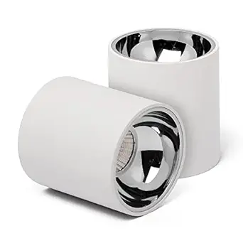 Harold Electricals 12W White Body Antiglare Surface Cylindrical Downlight COB Spotlight for Home, Office, Showroom, Studio, Indoor & Outdoor Lighting - Warm White Light( Chrome Reflector) Pack of 1