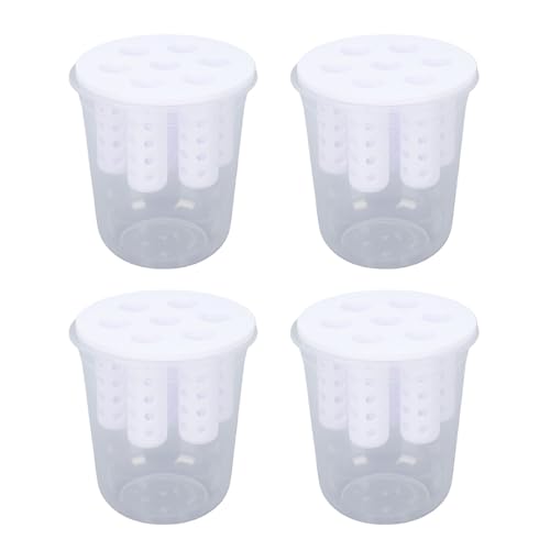 Omquot Kit de Brotes de Cebolla Verde de Plástico Transparente para Cultivo de Cebollas Verdes en Agua (Blanca)
