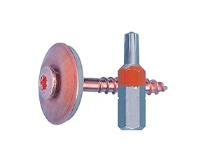 Śruba Uszczelniająca Wpuszczana z Podkładką AW 20