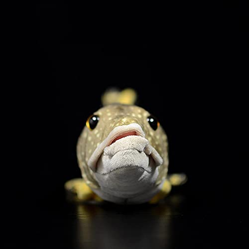 Simulation Northern Pike Stuffed Plush Toy- 18.5Inch Lifelike Depth Ocean Animals Pike Plushie Toys Figur, Super Soft Plush Dolls For Kids Stuffed Model Educational Toys, Gifts For Kids #TOP4