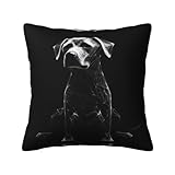 Las fundas de almohada de felpa con estampado de perro de 18 x 18 pulgadas con cremalleras ocultas son una opción ideal para la decoración del sofá del dormitorio del hogar.