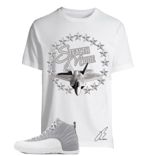 Shirt To Match Jordan Retro 12 Stealth Grey,Stealth Mode Graphic Tee (XXXL, White)