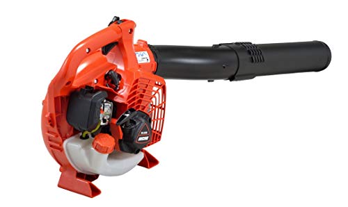 Best Echo Leaf Blower