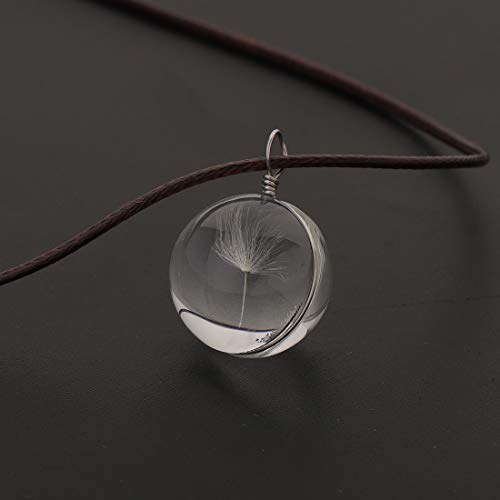 CHOORO Dandelion Necklace Real Dandelion Seed Inlaying Crystal Ball Necklace Dried Pressed Flower Pendant Necklace Flower Lovers Gift2