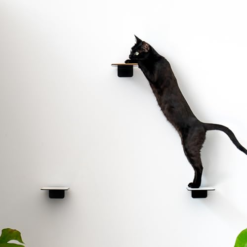 AZANO®️ Katzentreppe 3er Set | Kletterwand Katzen | Katzenleiter Wand [Modernes Design aus Metall] | Katzentreppe Wand | Katzenleiter |...