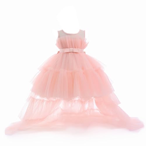 Girls Tutu Dress Christmas Princess Tulle Dress Holiday Party Prom Dresses for Birthday Outfit with Detachable Train