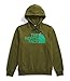 THE NORTH FACE Men's Half Dome Pullover Hoodie (Standard and Big Size), Forest Olive, X-Large