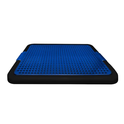 Sanitário Higiênico Canino para Tapete Higiênico Jornal Pet Cães - 40x50 cm - Azul