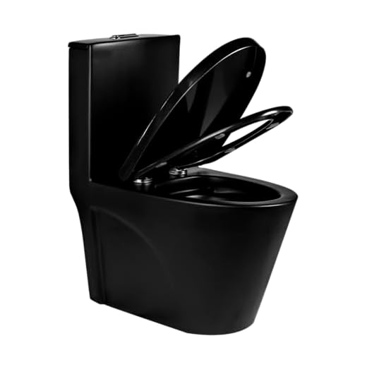 Vaso Sanitário Monobloco Caixaacoplada Privada Londres Preto