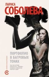 Hardcover Portfolio v bagrovykh tonakh [Russian] Book