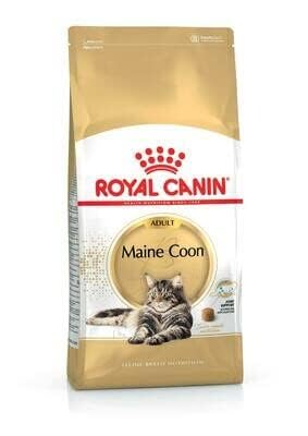 Royal Canin Maine Coon Adult Dry Cat Food 400g