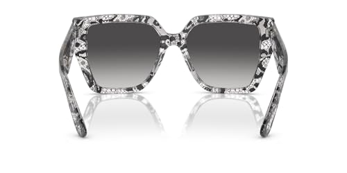 Dolce & Gabbana Sunglasses DG 4438 32878G Black Lace Grey Gradient4