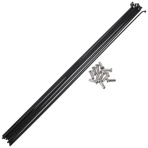 Rayons de vélo 14G 293 mm durables en acier inoxydable 304 noir