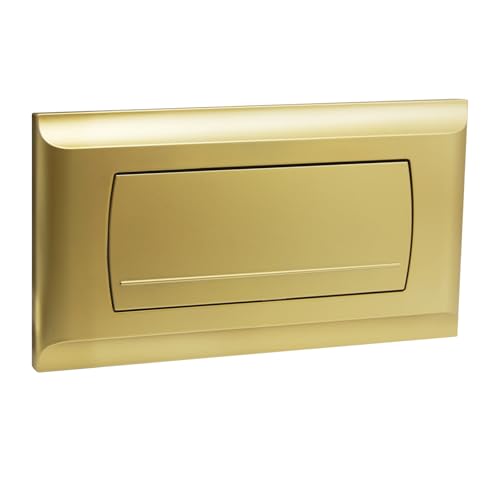 Empyreal Placa de Descarga para Cisterna de WC, Repuesto con Set de Palancas de Descarga, Compatible con Geberit 200F, 115222111,340 x 185mm，1 Pieza(Oro Mate)