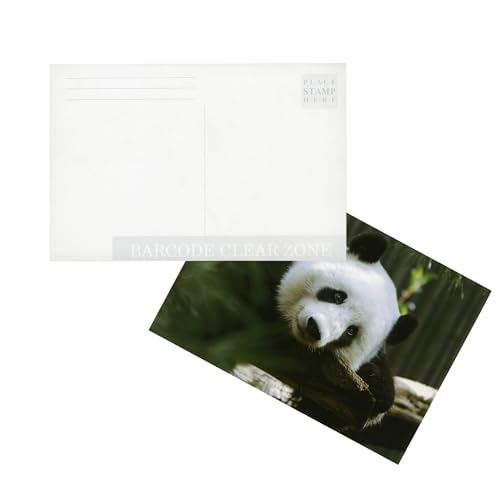 Photographer's Edge, Do-it-yourself Photo Postcards, Customizable Postcards, Self Adhesive, 4