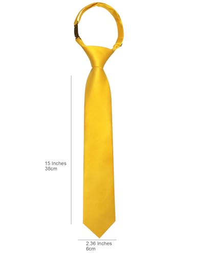 Image of Barry.Wang Boys Ties Pre-Tied Satin Solid Color Kids Tie Pocket Square Set Adjustable Formal Necktie Graduation School