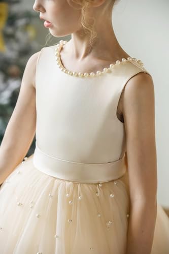 JISISANG Flower Girl Tulle Tutu Dress for Kids Wedding Girl First Communion Pageant Dresses Princess Prom Ball Gowns with Bow4