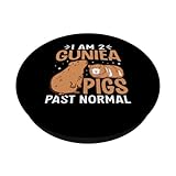 Zoom IMG-1 i m 2 guinea pigs