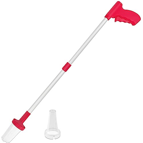 Do Vacuums Kill Spiders ? Thing That You Should Know Cleansefy