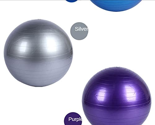 Pelota De Yoga Bola de Yoga Helada a Prueba de explosiones a Prueba de explosiones Bola de la Bola de Gimnasia 25 cm de Fitness Pelota De Yoga(Silver)