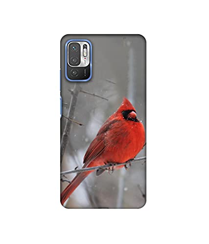 Image of Amazon Brand - Solimo Designer Red Engry Bird 3D Printed Hard Back Case Mobile Cover for Mi Redmi Note 10 5G