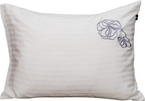 Jo[ 43×63 sP[X M { 100 Rbg hJ ԕ t[hJ TeXgCv AC{[ A[T HS11051-119