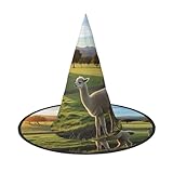 Anceky