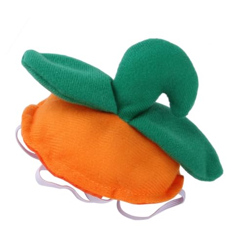 FINISPERSOO pvLybgXq Lp߃wbhMA 畆ɗD