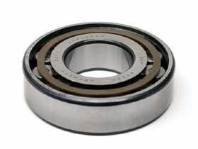 Pinion Shaft Bearing