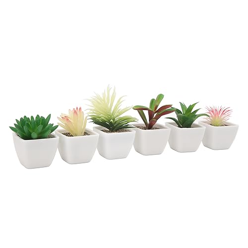 Fausses plantes réalistes de qualité supérieure avec pots pour décor soigné - 6