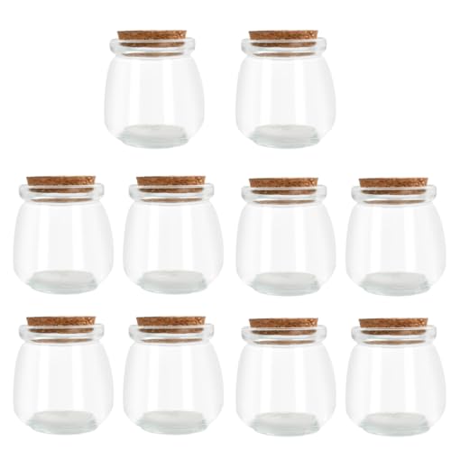 10 Pièces Verre Bocaux avec Couvercles en Liège, Bocal en Verre Transparent, Mini Bouteilles de Conservation en Verre, Fête de Bouteilles D'épices, 100ml...
