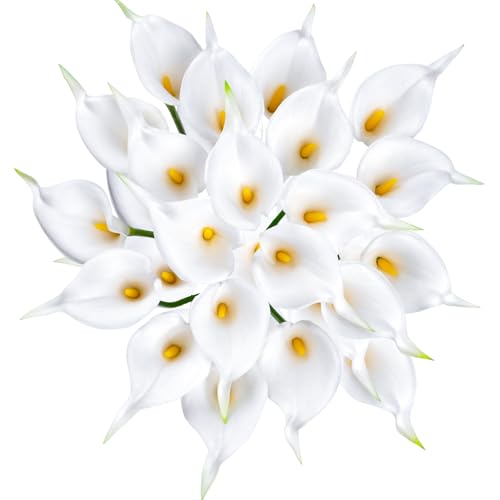 VaryFloral tFCNt[  u[P ԑ zCg 20{  CeA H̏ EFfBO t[AWg  I_JCE H ԎD DIY ʐ^Be LO a p z[ Lb` 뉀 r