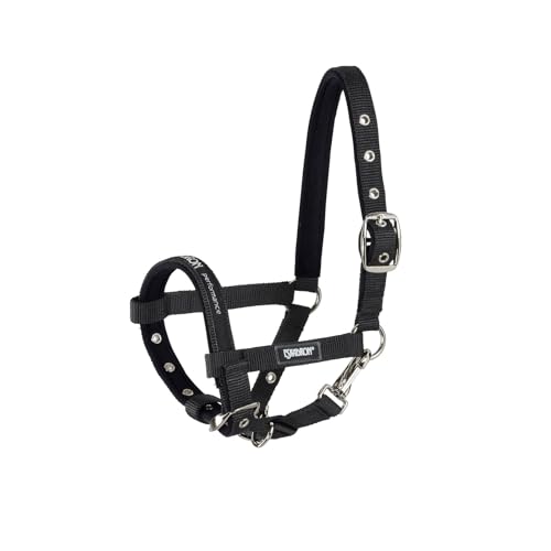 Licol pour poulain Eskadron avec boucle ardillon robuste noir