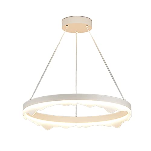 Lámpara colgante de anillo de metal con altura ajustable y LED