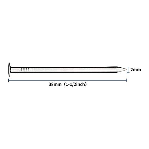Image of JEGONFRI 240PCS 1-1 /2 inch Nickel Flat Head Nails for Hanging Pictures Woodwork