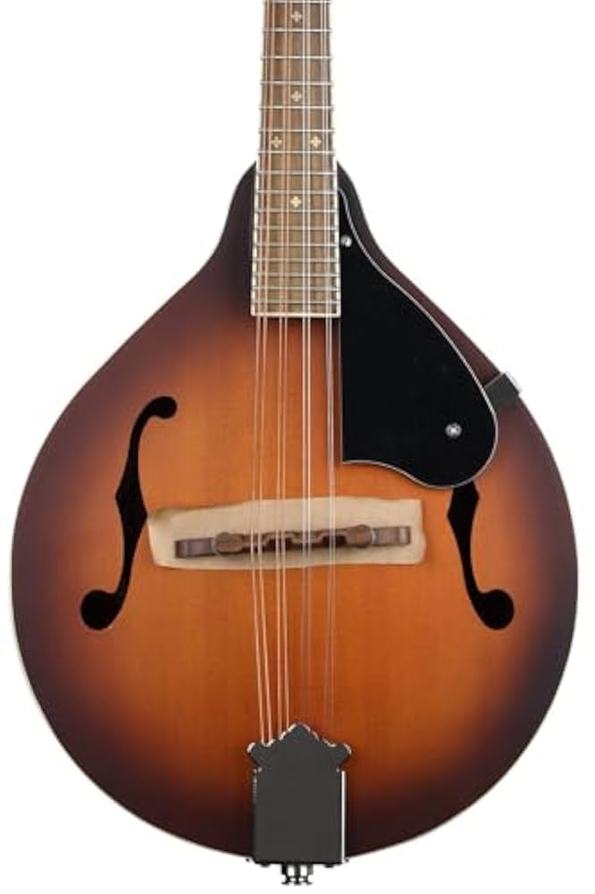 Amazon | Fender PM-180E マンドリン、エイジドコニャック