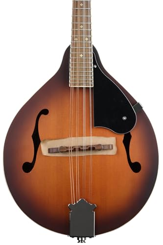 Amazon | Fender PM-180E マンドリン、エイジドコニャック