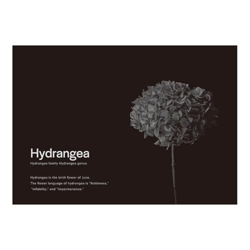 �ǎ����{�� �A�[�g �|�X�^�[ �C���e���A A2�T�C�Y �� �n�C�h�����W�A �A�W�T�C ���m�N�� �u���b�N �� NRN-BSH06 Room No.0�y�󒍐��Y�i�E�L�����Z���s�z