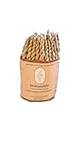 Bhagavato Handmade Himalayan Rope Incense,Eco-Friendly, Aromatic Ambiance, Healing, Purification, Made from Pure Himalayan Herbs (Sandalwood and Mixed Herbs)