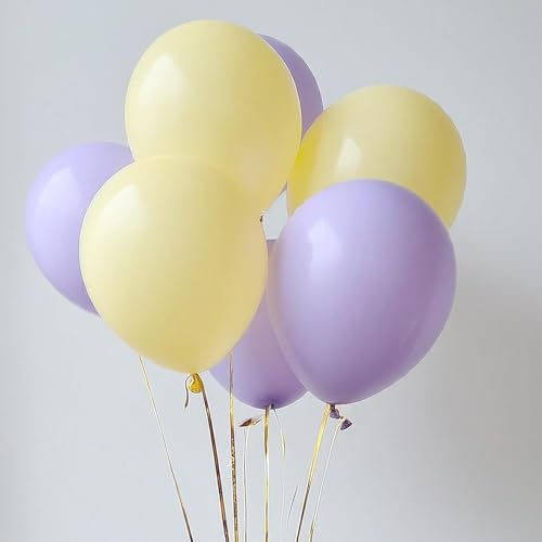 Image of Regular Balloon Combo For Decoration with Glue Dots & Balloon Arch Strip - Party Decor Set For Easy Party Setup (PURPLE YELLOW, 50)