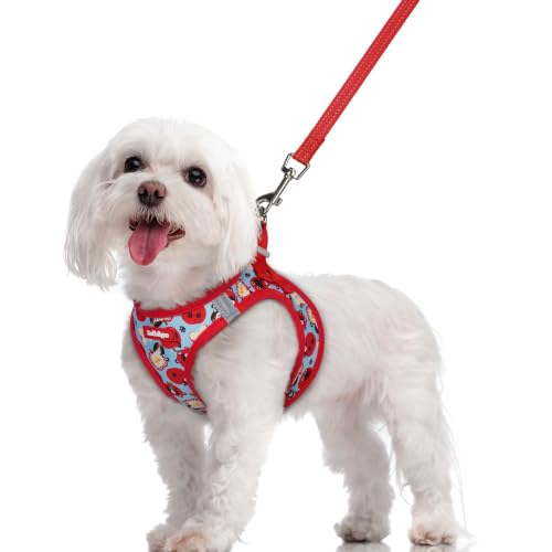 Image of rabbitgoo Dog Harness Medium Sized and Leash Set, Step-in Puppy Pet Vest