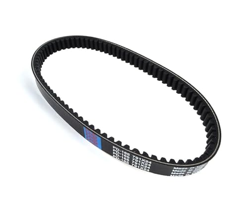 Courroie d'entraînement Can-Am DS250 2008-2019 de rechange S1B01RB101