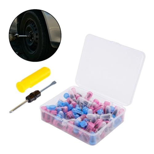 Kit de réparation de pneus sans chambre à air 100 pièces avec tournevis pour moto et scooter