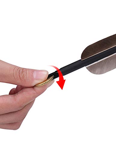 Pandarus Archery 31-Inch Carbon Hunting Arrows, Turkey Feather Fletching With Replaceable Points, Targeting Practice Arrows Spine 500 For Recurve Bow, Longbow, Traditional Bow (Black) #TOP4