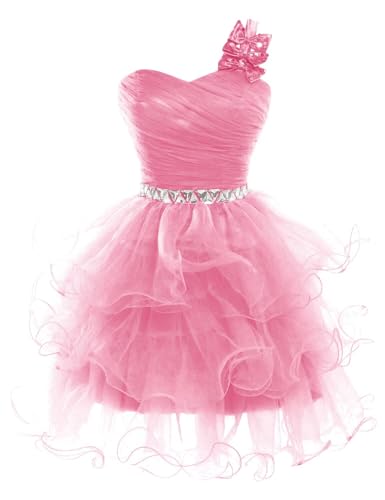 TLTVQ Short Prom Dress for Women Beaded Homecoming Dresses for Teens Pageant Tiered Short Formal...
