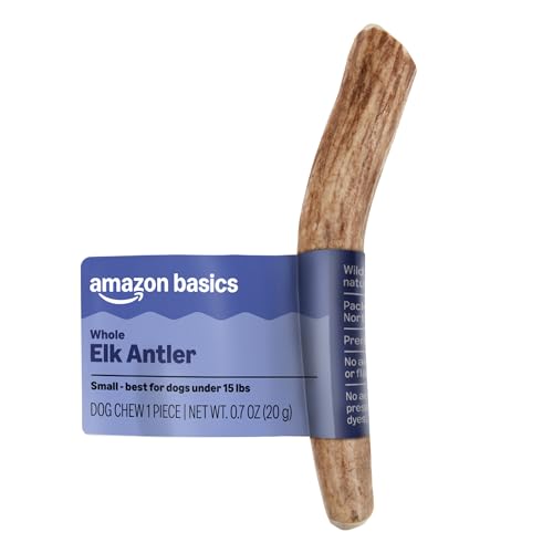 Amazon Basics Elk Antler - Whole - Long Lasting for Aggressive Chewers - Small 4-5.5 inches (Best for Dogs Under 15 lbs) 0.70 Ounce (Pack of 1) (Previously Wag)