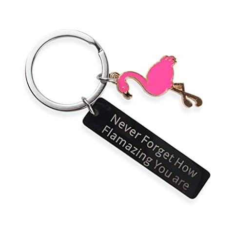 GONDNOWS Flamingo keychain, inspirational keyring, gift for friends Cover
